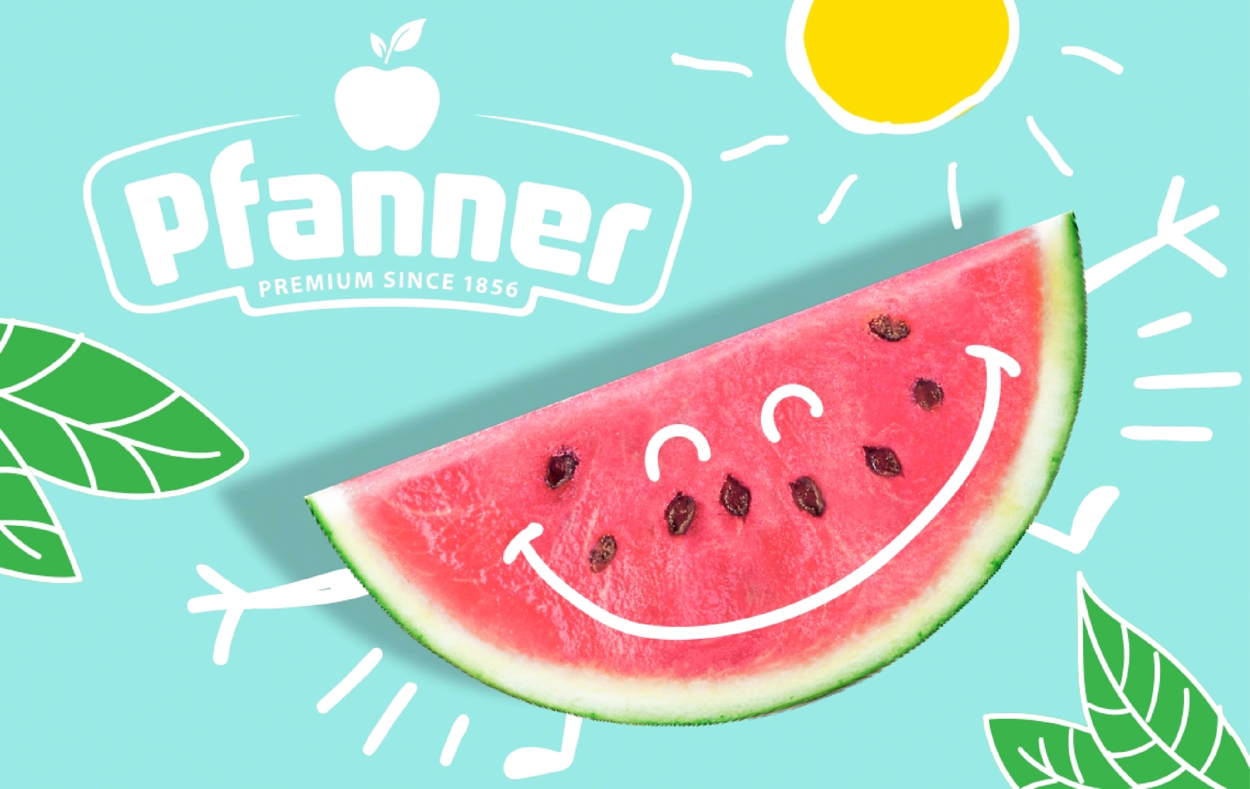 service_cards_pfanner_melonisecard